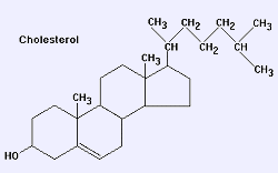 This is a cholesterol molecule, which your body uses for making cell membranes and some hormones.