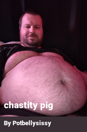 Book cover for Chastity pig, a weight gain story by Potbellysissy