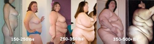 Female bellies and breasts from 150-500lbs.