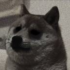 HeavyBelly, a 565lbs foodie From Poland