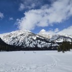 Cosecant, a 150lbs feeder From United States