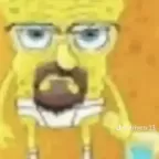 Sbpo226, a 170lbs feeder From United States