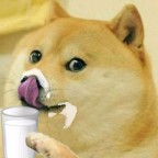Pudgydoge, a 200lbs foodie From United States