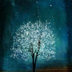 Hereforthestories11, a 270lbs fat appreciator From United States