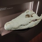 Lefeederismcbien, a 150lbs feeder From France