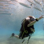 Vince, a 176lbs fat appreciator From France