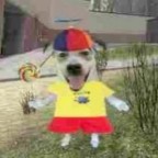 Layla2323, a 0lbs  From China