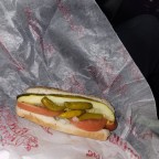 Hot Dog, a 165lbs feeder From United States