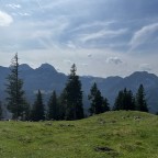 Bandic, a 0lbs  From Germany