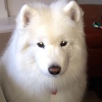 Ciaran191, a 140lbs feeder From United Kingdom