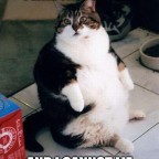 HeftHelper, a 100lbs feeder From United States