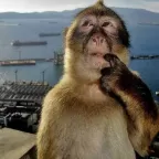 Motivatedbytreats, a 170lbs fat appreciator From United States