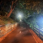 Ausfeed77, a 170lbs feeder From Australia