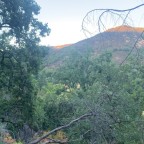 ItsmeKevin, a 100lbs feeder From United States