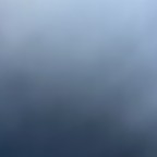 Remmi, a 175lbs feeder From United States