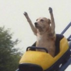 Purplehaze413, a 0lbs  From United States