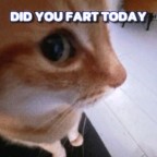 Feedehunter, a 175lbs feeder From Poland