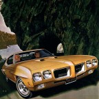 Basilica, a 164lbs feeder From United States