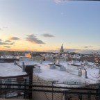 Mape, a 201lbs feeder From United States