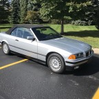 WoodyK23, a 200lbs feeder From United States