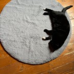 FatLover26, a 143lbs mutual gainer From Spain