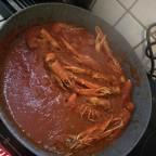 Fefe667, a 0lbs  From Italy