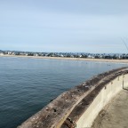 Leroy111, a 135lbs feeder From United States