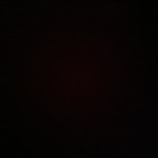 Szz200, a 170lbs feedee From Spain