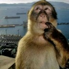 DeAdMoOn, a 0lbs  From Canada