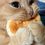 Johnny Carson, a 0lbs  From Mexico