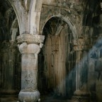 TenaciousA, a 200lbs feeder From United States