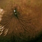 LooseSkinGoddess, a 140lbs foodie From United States