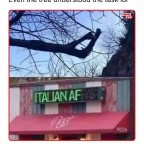 FatJane244, a 280lbs feedee From United States