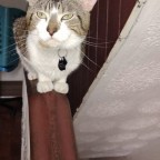 Bird Of A Feather, a 200lbs feeder From United States