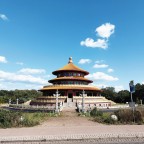 Gelderl, a 100lbs feeder From Germany