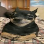 SillyGoober, a 0lbs  From United States