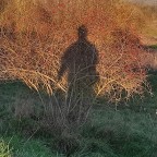 Hugebellyadmirer, a 242lbs feeder From France
