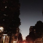 Sms311, a 220lbs feeder From United States