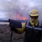 Davidengo, a 220lbs feeder From Portugal