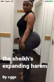 Book cover for The sheikh's expanding harem, a weight gain story by Cggo