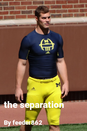 Book cover for The separation, a weight gain story by Feeder862