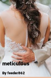 Book cover for Meticulous, a weight gain story by Feeder862
