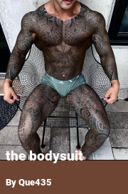 Book cover for The bodysuit, a weight gain story by Que435