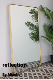 Book cover for Reflection, a weight gain story by Miachu