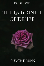 Book cover for The Labyrinth of Desire: Book One, a weight gain story by PunchDrunk