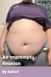 Book cover for An Impromptu Reunion, a weight gain story by KallieT