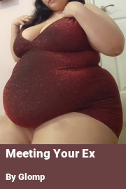 Book cover for Meeting Your Ex, a weight gain story by Glomp
