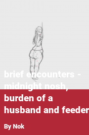 Book cover for Brief encounters - midnight nosh, burden of a husband and feeder, a weight gain story by Nok