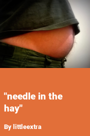 Book cover for "needle in the hay", a weight gain story by Littleextra